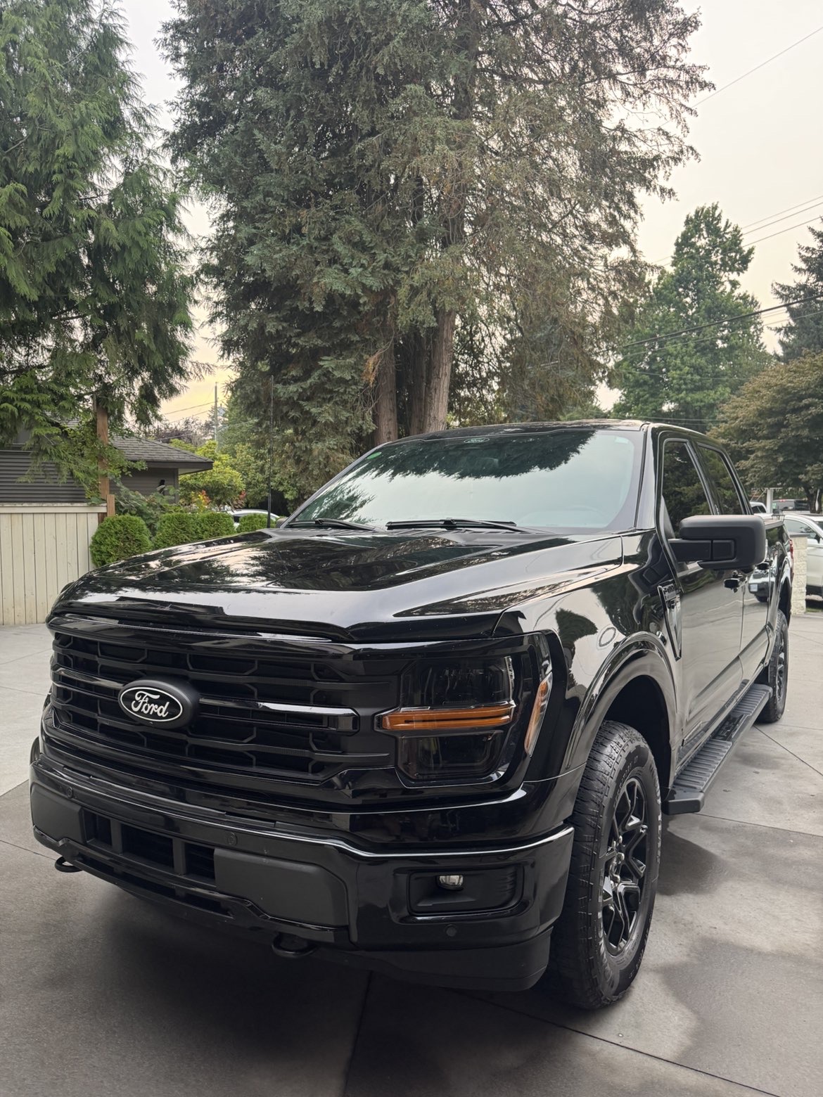 Black Ford F-150 truck with a mirror-gloss finish