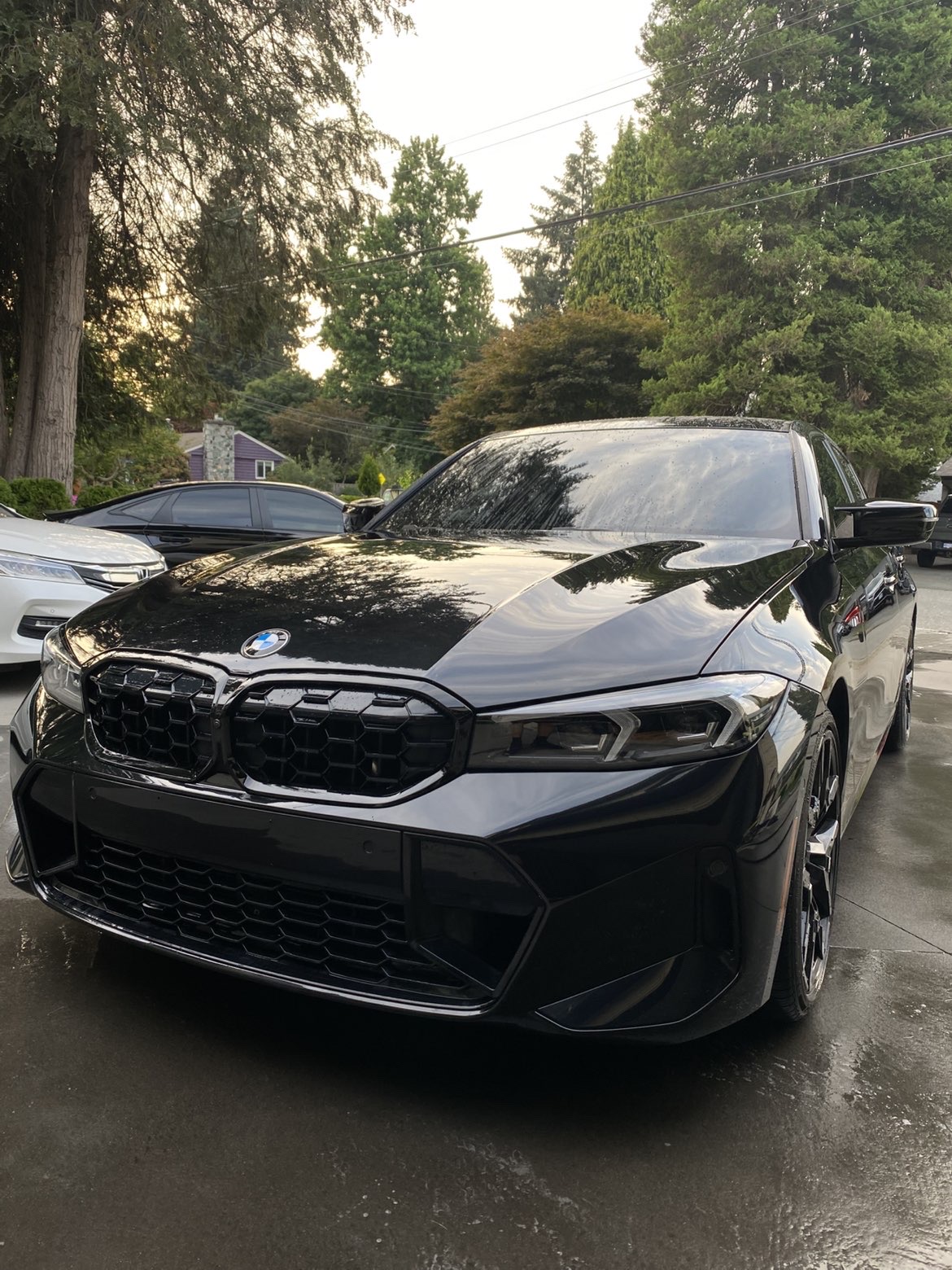 Freshly detailed black BMW